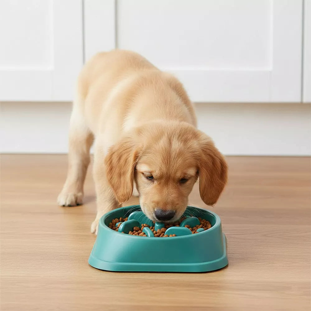 Tazón de comida lenta para mascotas con base antideslizante